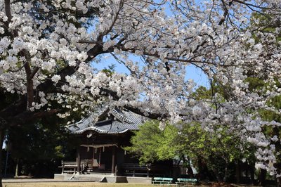 ⛩️ 대 나카토미 신사(오나카토미 진자) 이미지 2